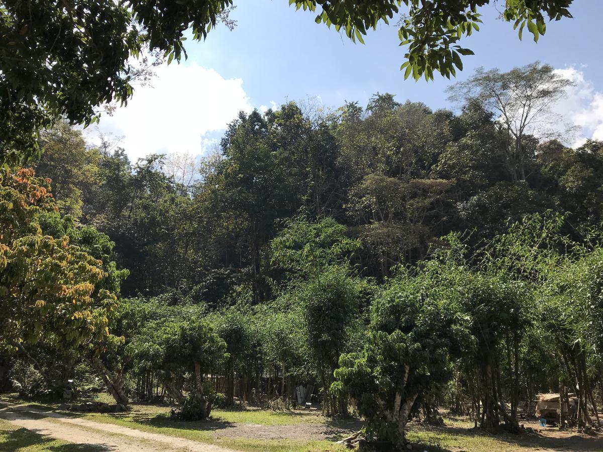 Hotel สวนฉัน Igarden Ban Pang Champi Exterior foto